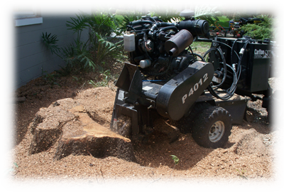 Picture of COMLY'S STUMP GRINDING; affordable stump grinding prices
